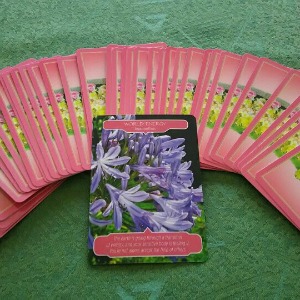 成功へ導くリーディングwithエンジェルカード 成功へ導くリーディングwithエンジェルカード