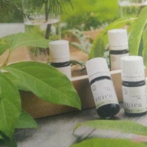 和のアロマで癒やしのハンドトリートメント 和のアロマで癒やしのハンドトリートメント