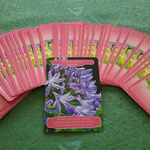 成功へ導くリーディングwithエンジェルカード 成功へ導くリーディングwithエンジェルカード